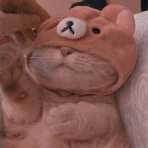 Meet your Posher, Paula